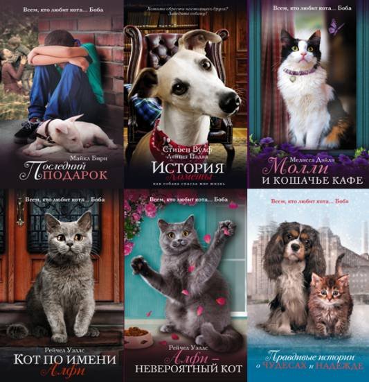 Невероятные имена. Кот Алфи. Алфи книга. Книги всё про собак и кошек.