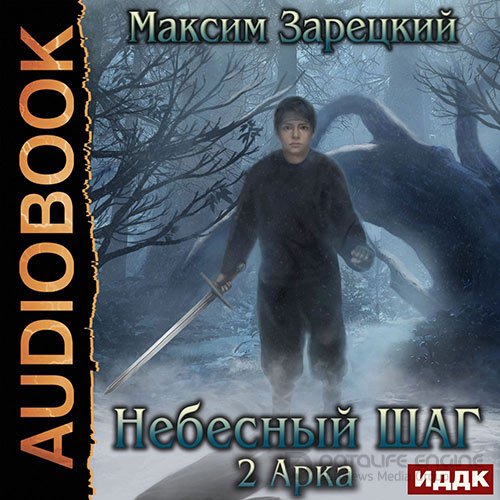 Зарецкий Максим. Небесный шаг. 2 арка (2020) Аудиокнига