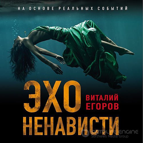 Егоров Виталий. Эхо ненависти (2022) Аудиокнига