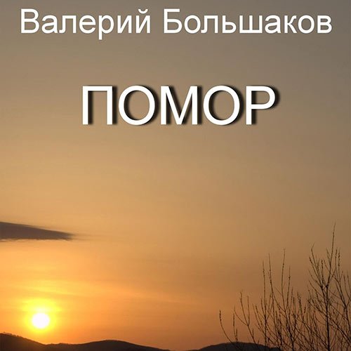 Обложка к /uploads/posts/2023-03/1680216436_3741_boljshakov_valerij___pomor.jpg